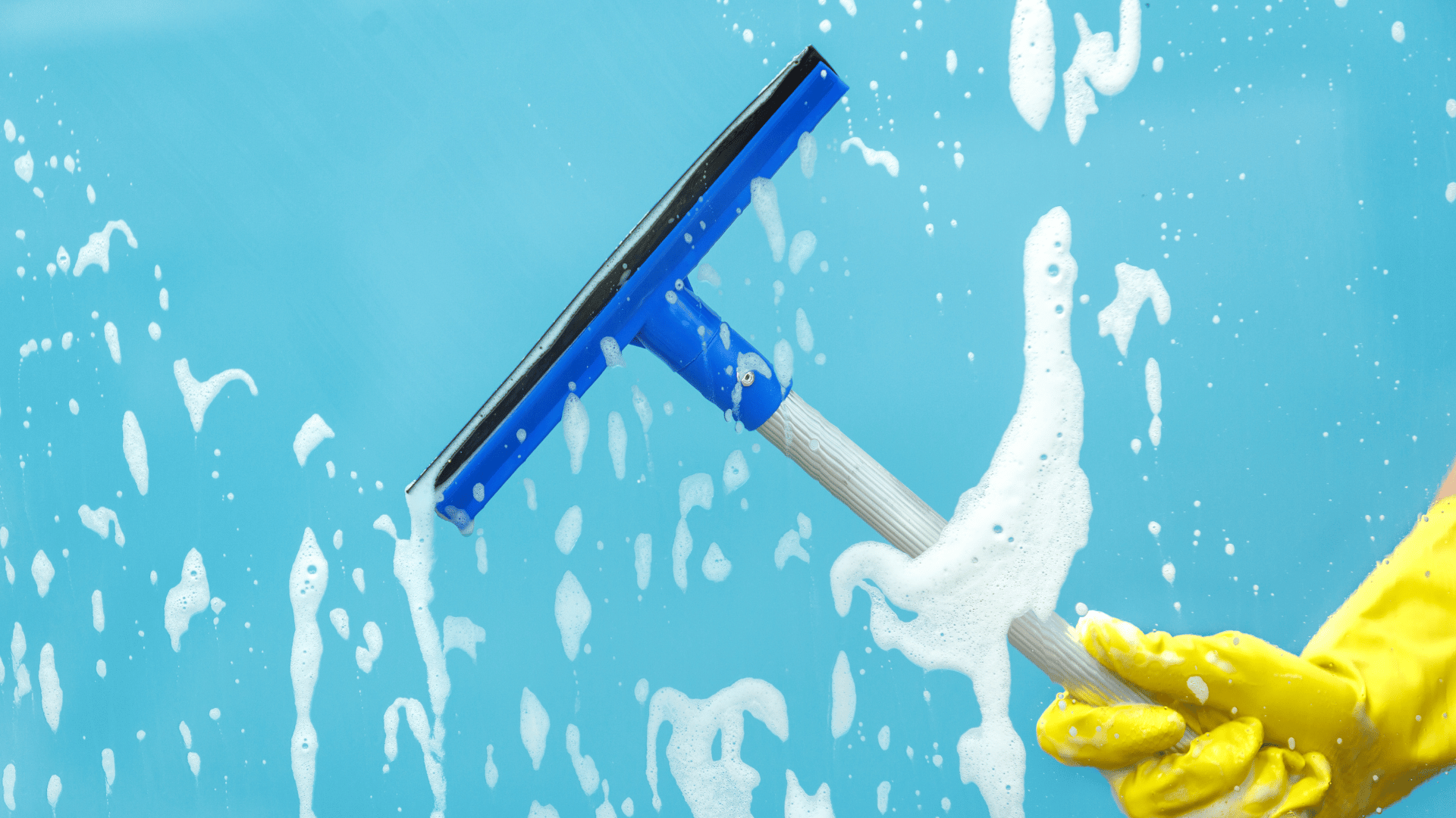 Window Cleaning services